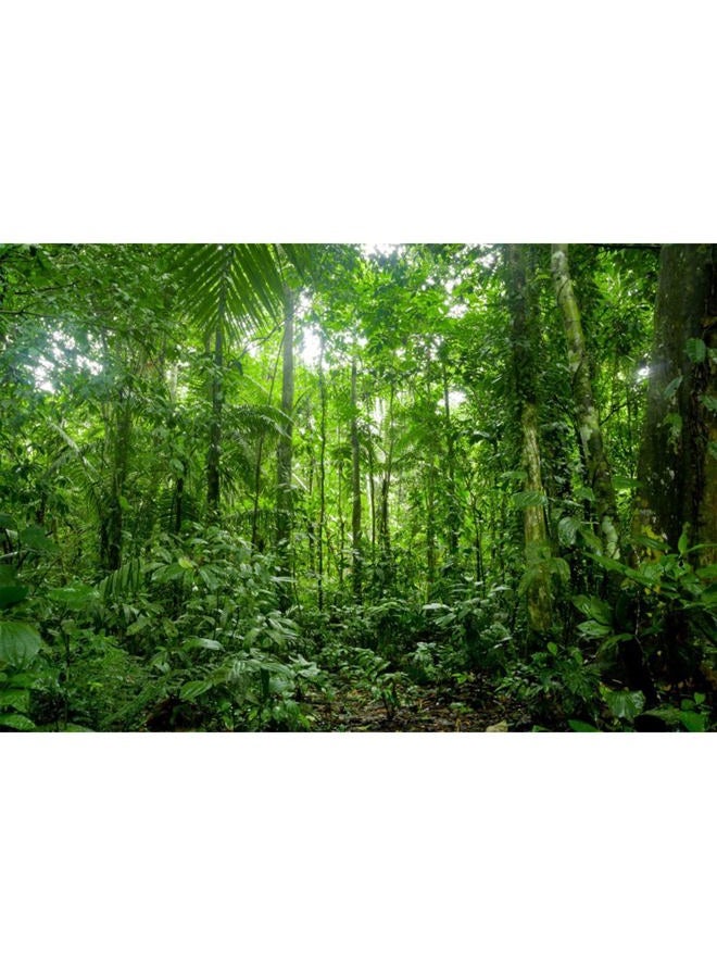 YongFoto 8x6.5ft Jungle Forest Trees Backdrops for Photography Summer Woods Wonderland Trees Plant Spring Nature Landscape Photography Background Picnic Camping Girl Boy Scouts Adventure Photo Studio  - Image 1