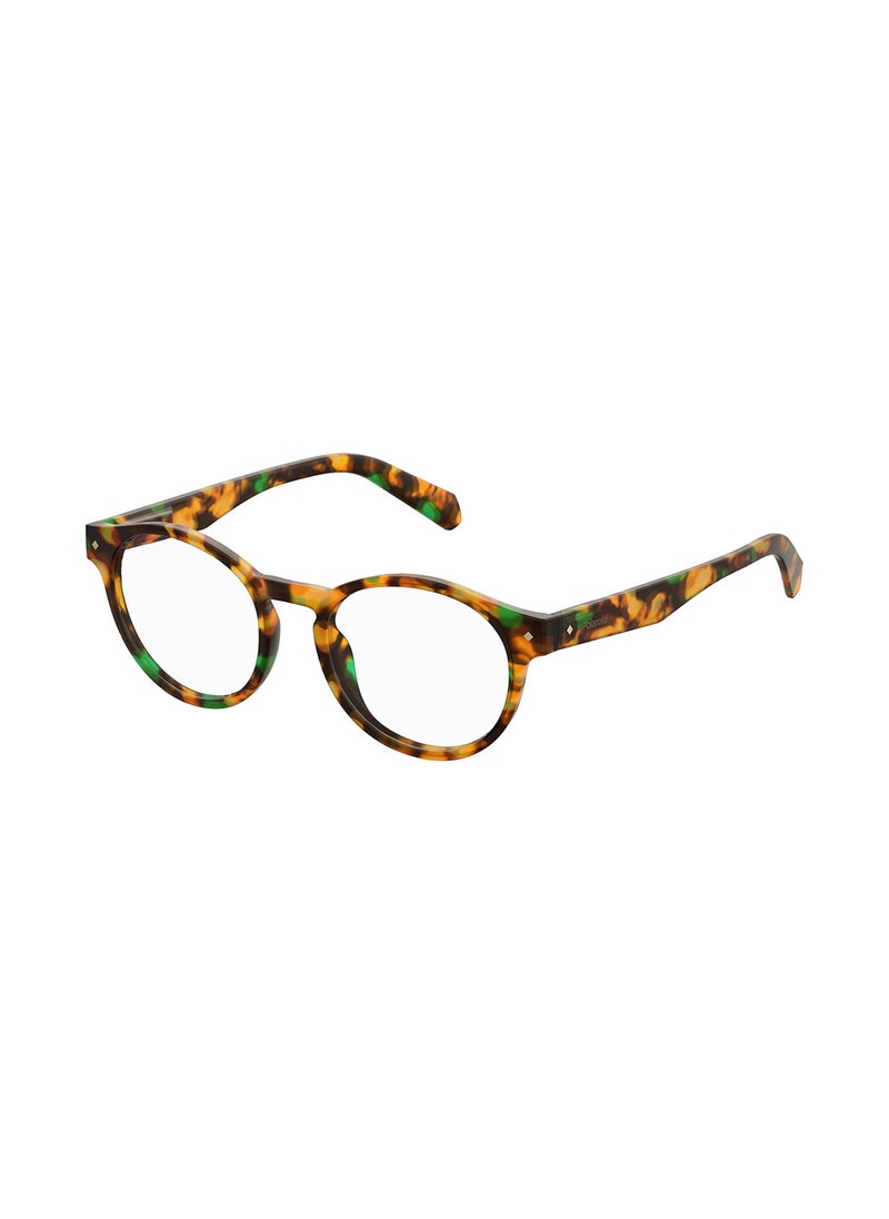 Unisex Oval Reading Glasses - Pld 0021/R Havana Honey 49 - Lens Size: 49 Mm - pzsku/Z5702EB36B4DA49454DF8Z/45/_/1696841683/1e45f2f2-e1f0-479e-a172-7cca2174bf8c