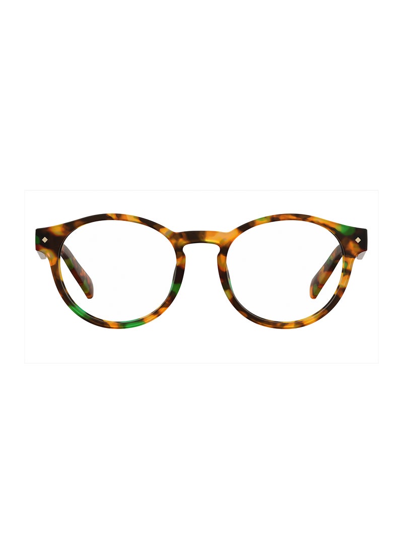 Unisex Oval Reading Glasses - Pld 0021/R Havana Honey 49 - Lens Size: 49 Mm - pzsku/Z5702EB36B4DA49454DF8Z/45/_/1696841684/cc3f5c17-5b7c-4383-a8db-f89489b985c8