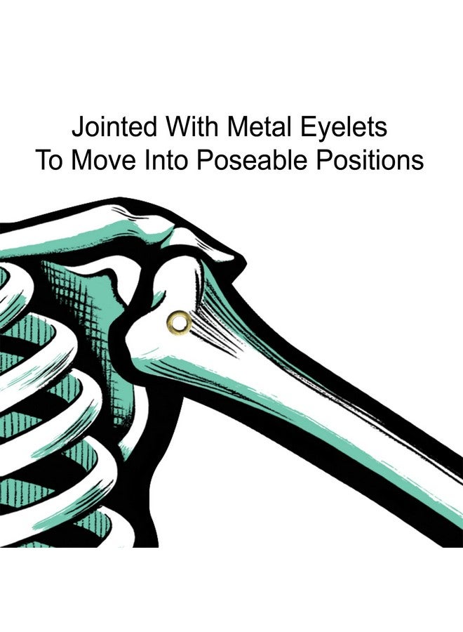 بيستل هياكل عظمية مفصلية - 22 بوصة - Image 4