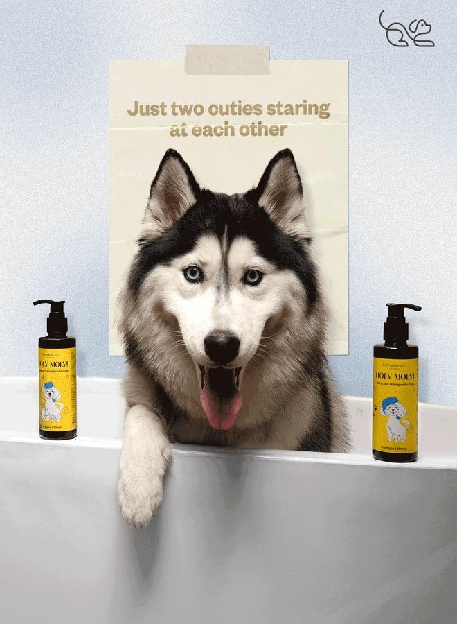The Wouff HOLY Moly! All-in-One Premium Dog Shampoo - Nourishing, Gentle, and Suitable for All Dog Breeds - 200ml - Image 5