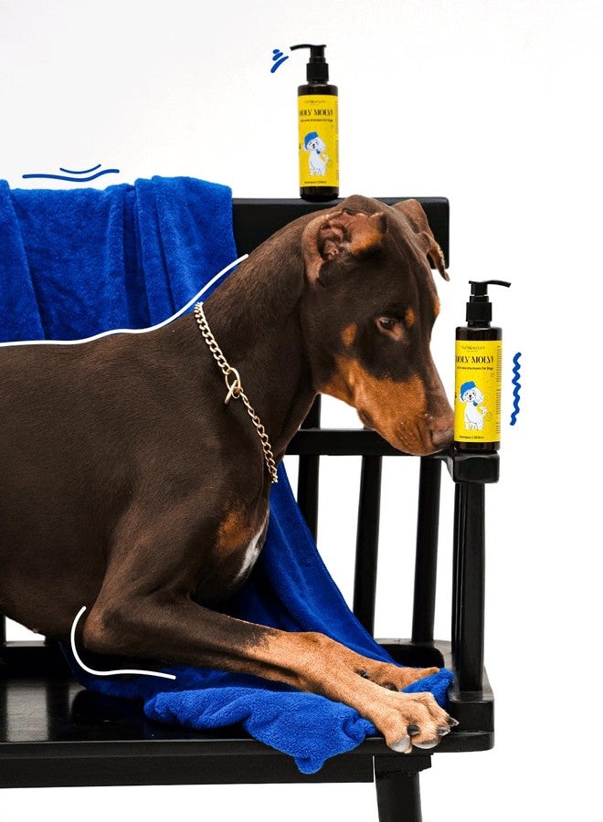 The Wouff HOLY Moly! All-in-One Premium Dog Shampoo - Nourishing, Gentle, and Suitable for All Dog Breeds - 200ml - Image 4