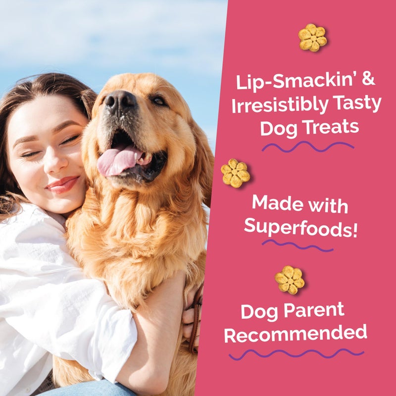 Fruitables Baked Dog Treats, Healthy Pumpkin Treat for Dogs, Low Calorie & Delicious, Pet Essential, Made with No Wheat, Corn & Soy, Made in the USA, Allergy Friendly, Pumpkin and Apple Flavor, 20 oz - Image 3
