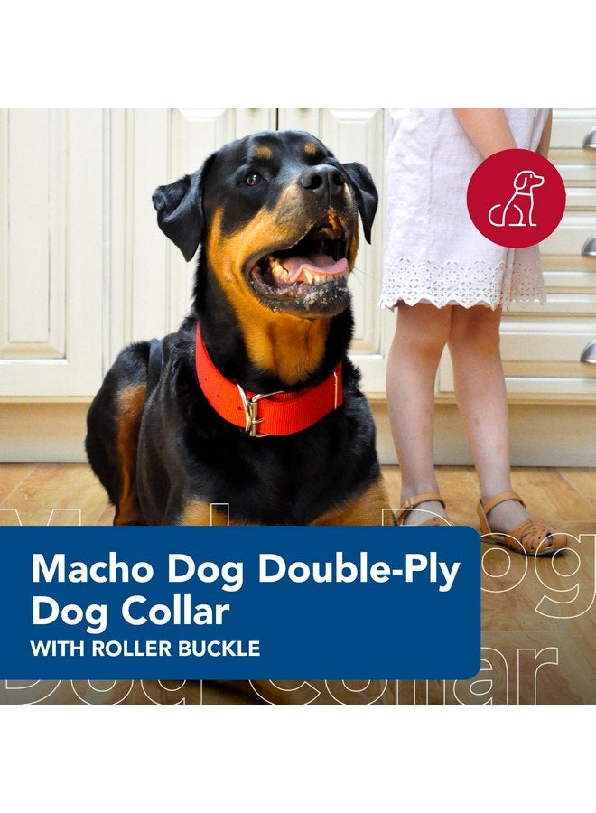 كوستال طوق كلب مزدوج الطبقات من Coastal Pet Macho Dog مع مشبك أسطواني - طوق كلب مريح ومتين - طوق كلب شديد التحمل - أسود، 20 بوصة - Image 1