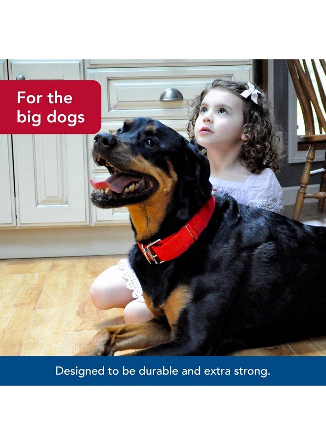 كوستال طوق كلب مزدوج الطبقات من Coastal Pet Macho Dog مع مشبك أسطواني - طوق كلب مريح ومتين - طوق كلب شديد التحمل - أسود، 20 بوصة - Image 2