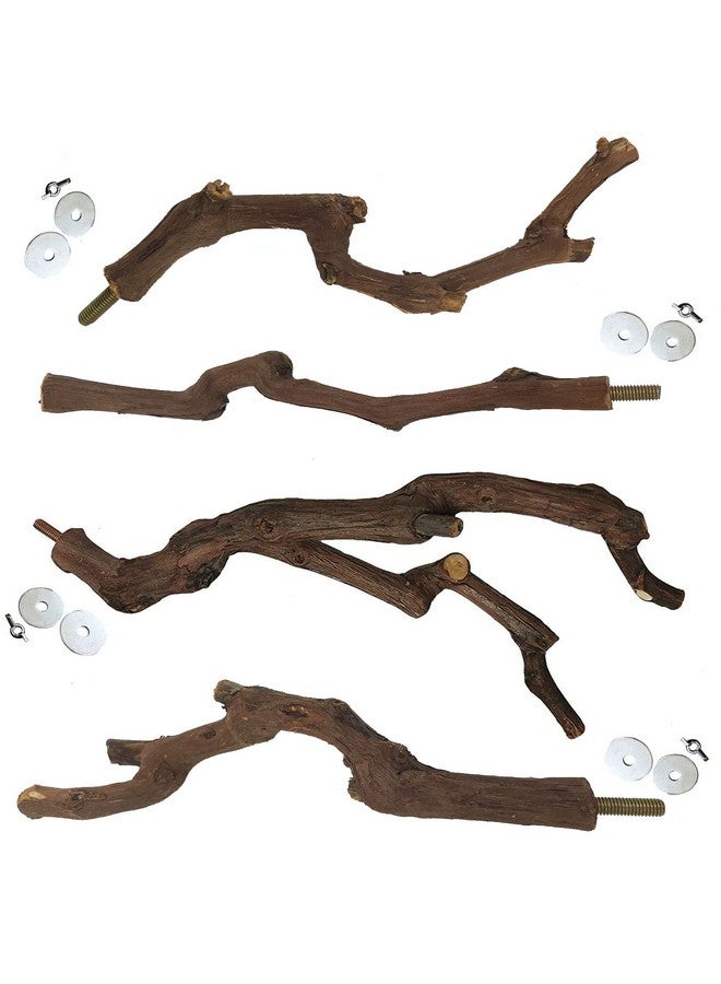Kathson kathson Natural Parrot Perch Bird Stand Pole Wild Grape Stick Paw Grinding Fork Parakeet Climbing Standing Branches Toy Chewable Cage Accessories for Small Budgies Cockatiels Lovebirds 4PCS  - Image 1
