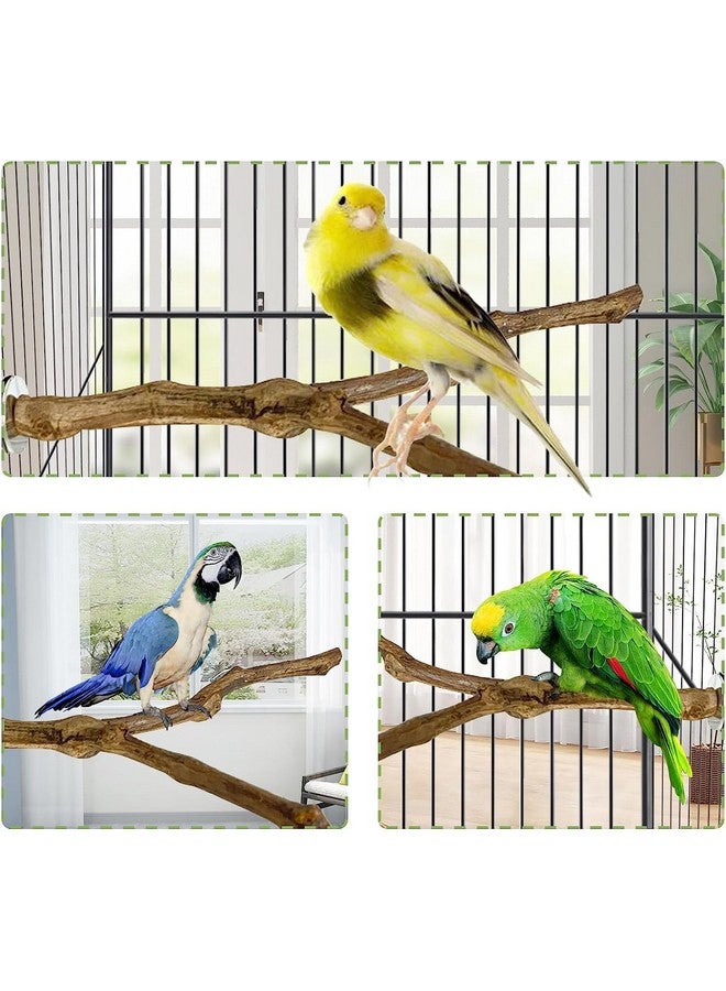 Kathson kathson Natural Parrot Perch Bird Stand Pole Wild Grape Stick Paw Grinding Fork Parakeet Climbing Standing Branches Toy Chewable Cage Accessories for Small Budgies Cockatiels Lovebirds 4PCS  - Image 5