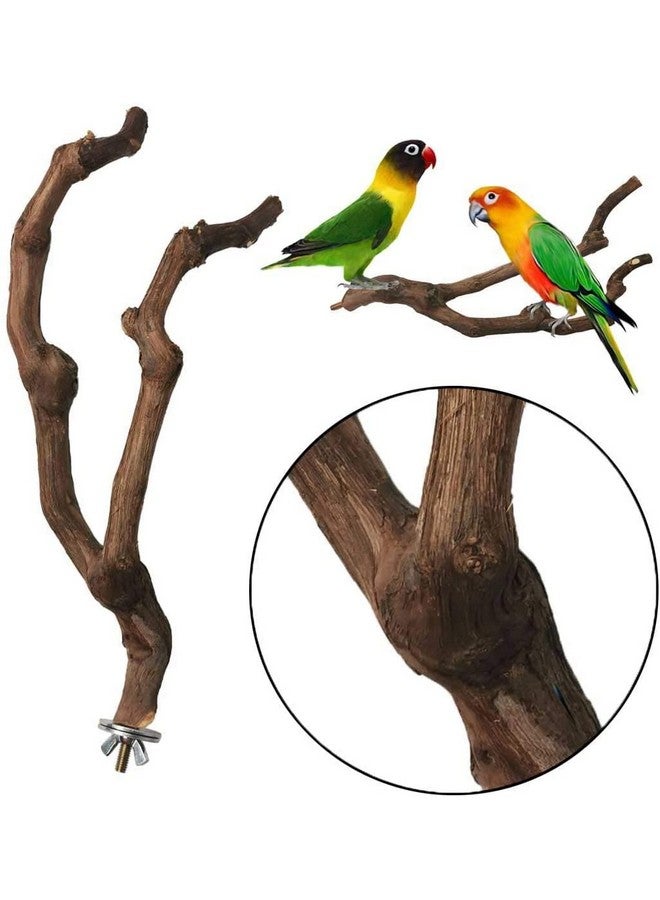 Kathson kathson Natural Parrot Perch Bird Stand Pole Wild Grape Stick Paw Grinding Fork Parakeet Climbing Standing Branches Toy Chewable Cage Accessories for Small Budgies Cockatiels Lovebirds 4PCS  - Image 4