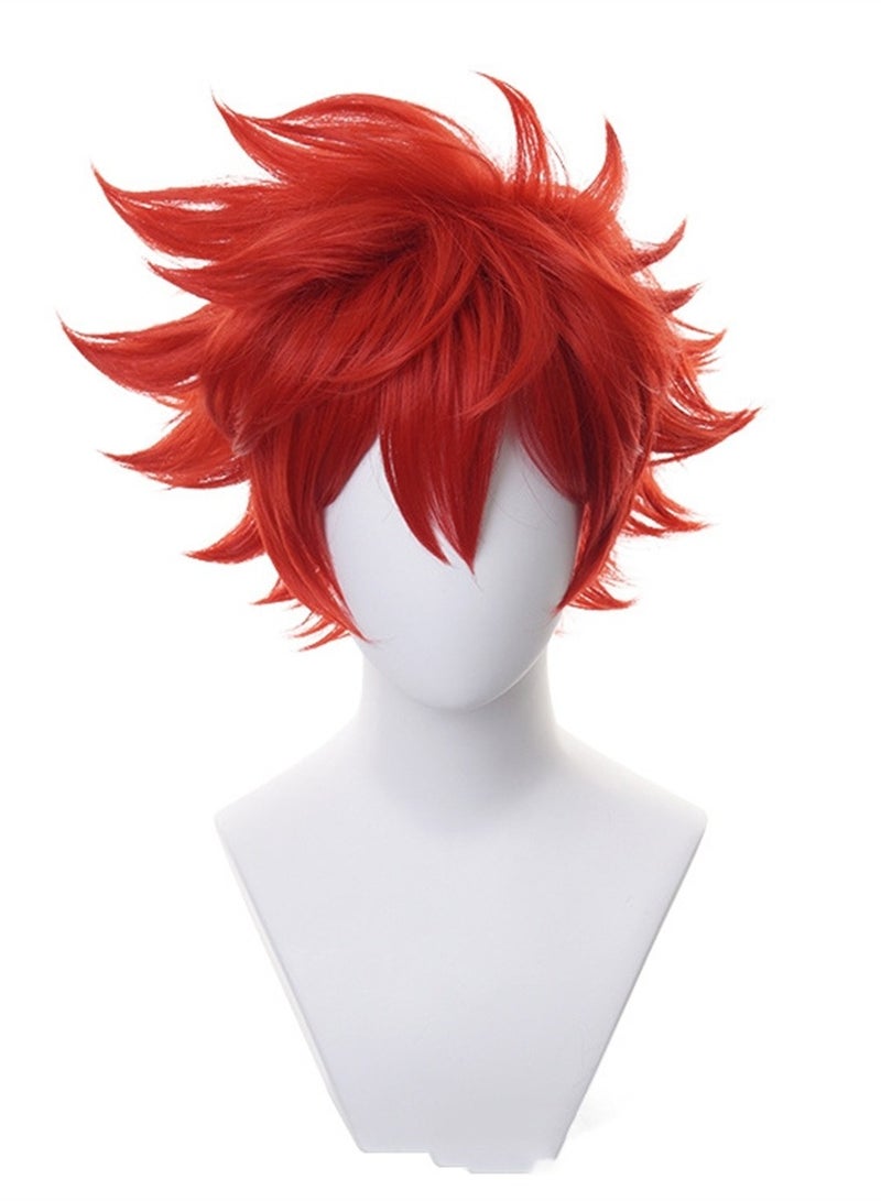 unlimited skateboard cosplay wig costumes dress up wig - Image 1