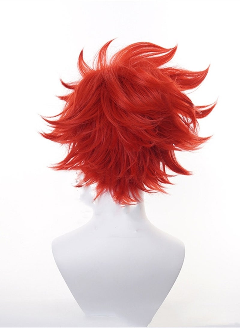 unlimited skateboard cosplay wig costumes dress up wig - Image 3