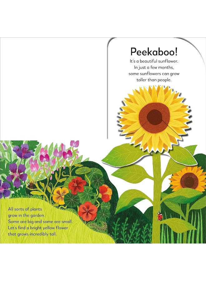 Pop-Up Peekaboo! Garden: Pop-Up Surprise Under Every Flap!  - Image 5
