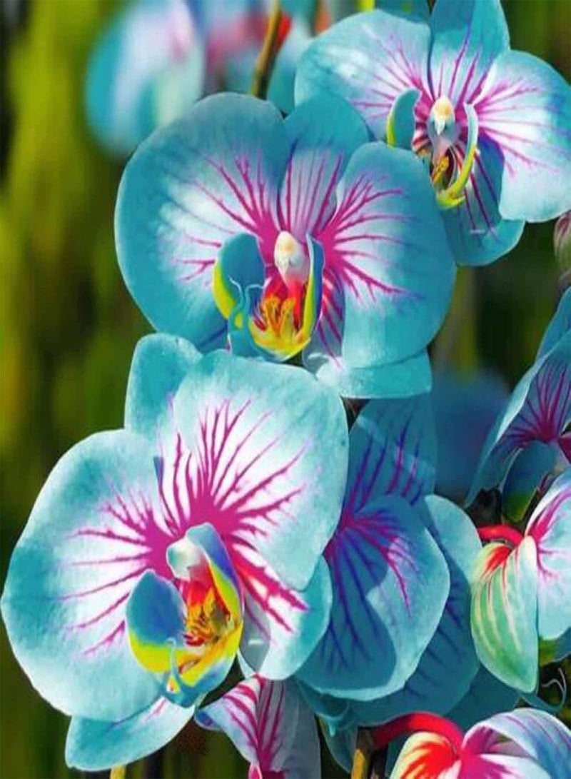 GGOOT 100Pcs Premium Flower Seeds, Phalaenopsis Seeds Aromatic Cymbidium Plants Perennial Orchid Flower Seedlings for Office Blue - Image 1