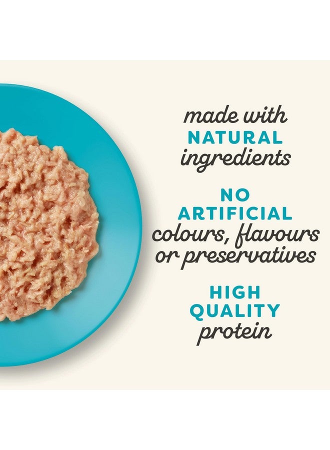 آبلاوس طعام قطط رطب بنكهة التونة 70 جرام عبوة من 24 قطعة - Image 4