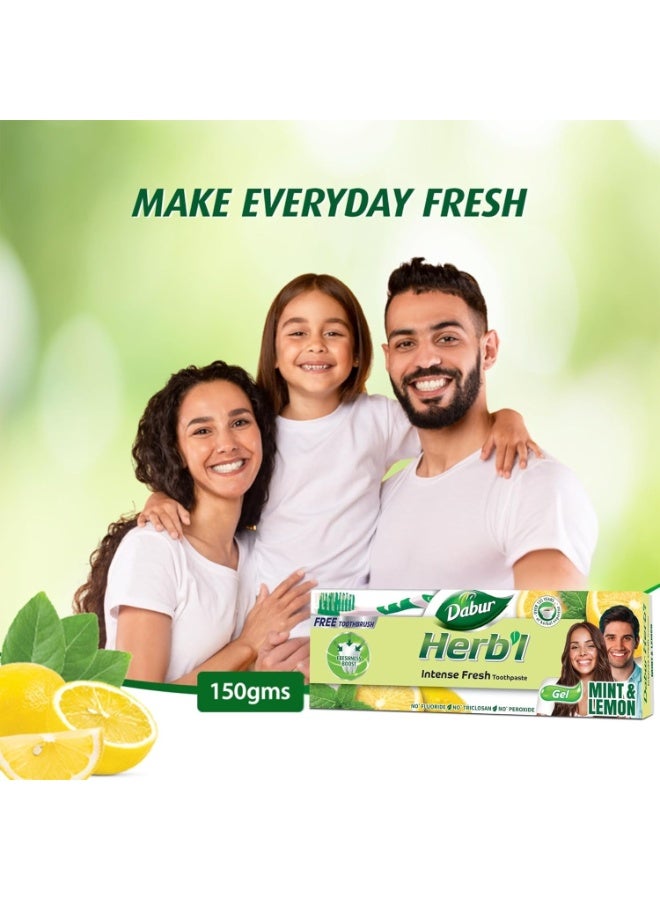 دابر معجون أسنان دابور هيربال إنتنس جل برائحة منعشة (3 عبوات × 150 جم + فرشاة أسنان) | بمزيج من النعناع والليمون | معجون أسنان جل برائحة منعشة طبيعية لنفس منعش | عبوة اقتصادية - Image 3