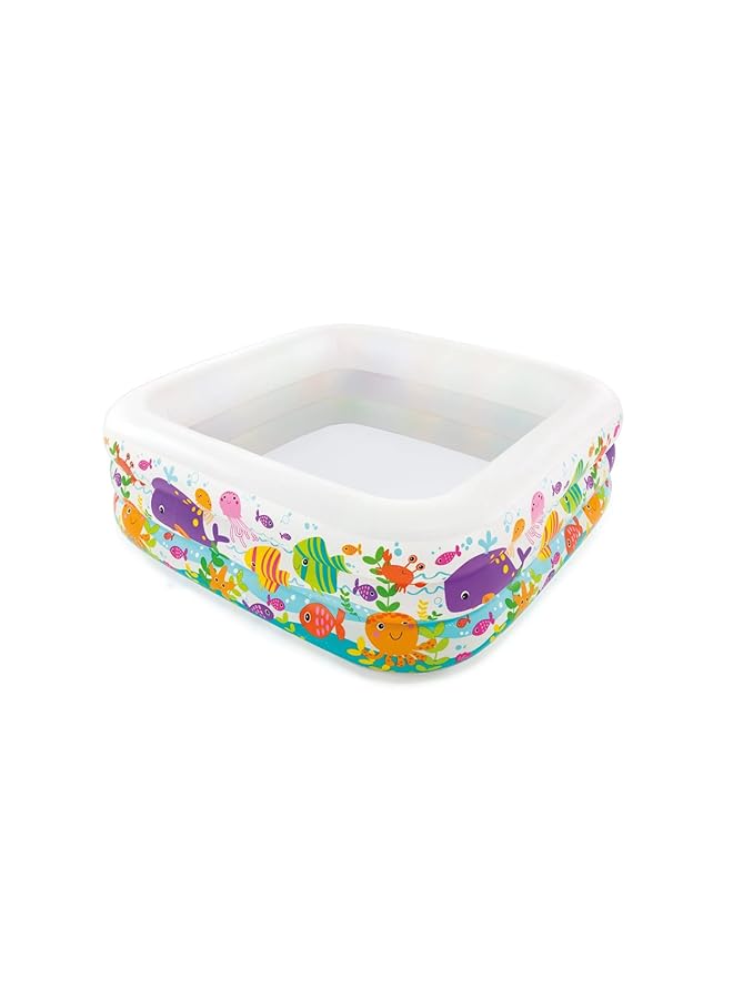 انتكس مركز السباحة، حوض أسماك كلير فيو 57471 - Image 1