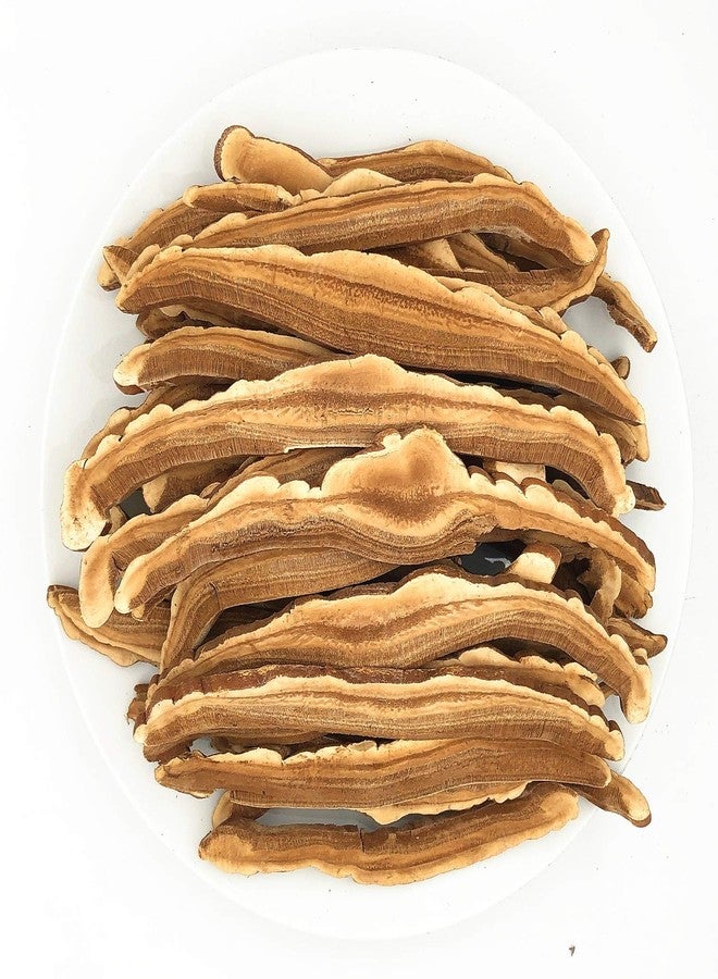 Greenlike Japanese Reishi Mushroom – Premium Ganoderma Lucidum from Japan | Immune & Wellness Support | High-Potency Extract | Non-GMO | Traditional Vitality Mushroom 8oz - Image 2