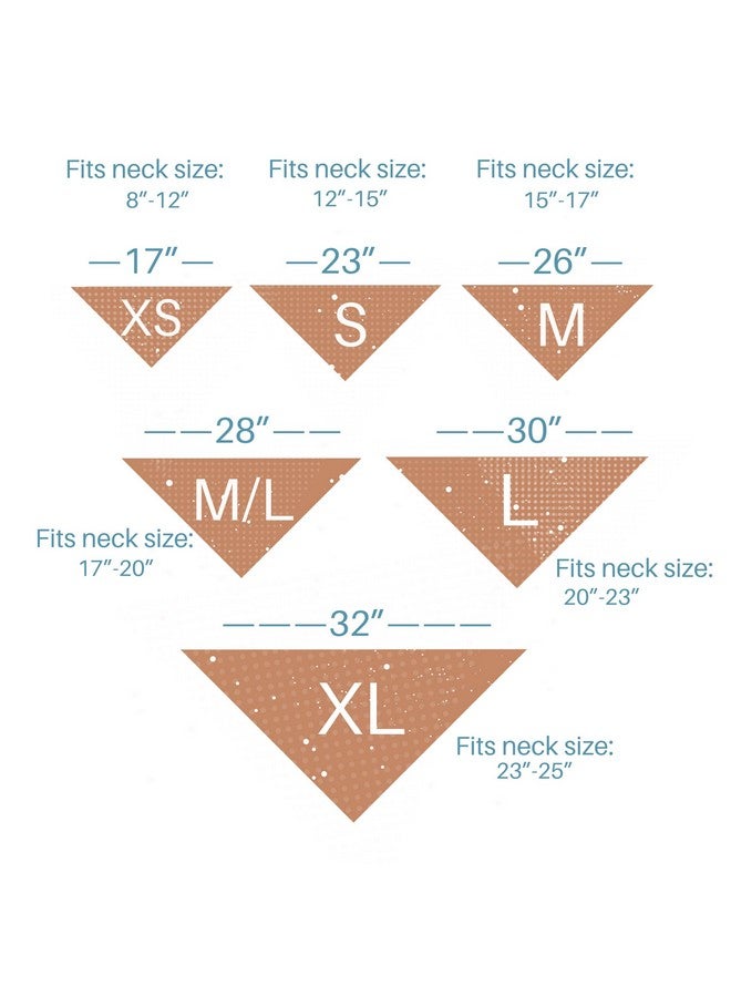 إعلان حمل كلب من Big Bro، إعلان ولادة طفل للأجداد (كبير) - Image 5