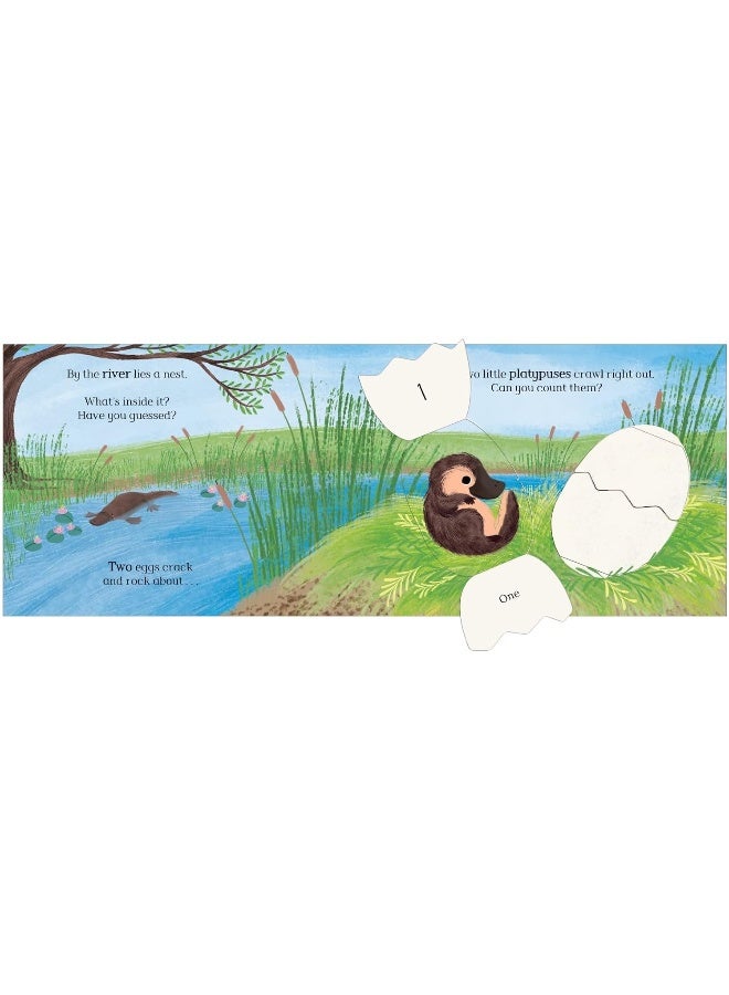 Eggs!: A lift-the-flap counting book full of surprises!  - Image 5