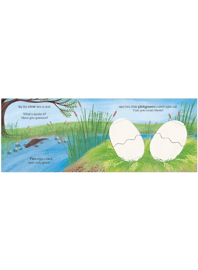 Eggs!: A lift-the-flap counting book full of surprises!  - Image 4
