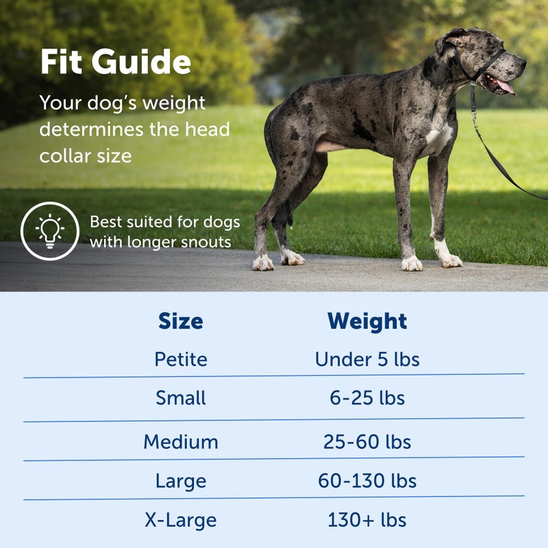 PetSafe Gentle Leader No-Pull Dog Headcollar - The Ultimate Solution to Pulling - Redirects Your Dog's Pulling for Easier Walks - Helps You Regain Control - X-Large, Black - Image 5