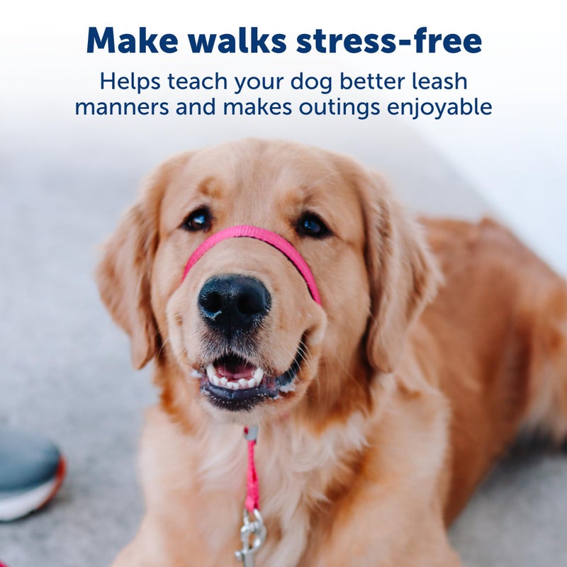 PetSafe Gentle Leader No-Pull Dog Headcollar - The Ultimate Solution to Pulling - Redirects Your Dog's Pulling for Easier Walks - Helps You Regain Control - X-Large, Black - Image 4