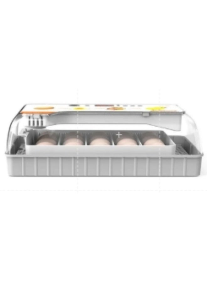کاتانس Egg Candler Egg Incubator with Automatic Egg Turning and Humidity Control 20 Eggs Hatcher Machine - Image 1