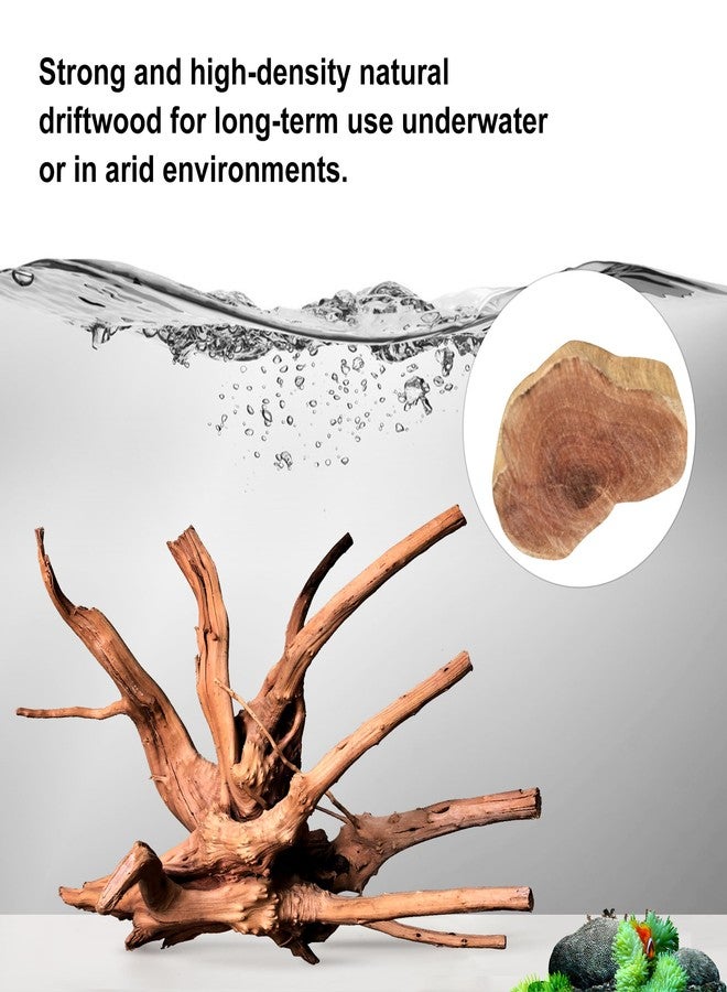 majoywoo Natural Small Driftwood for Aquarium Decor Fish Tank Decorations, Assorted Spider Wood Branch 2-4.5" 10 Pcs, Reptile Decor - Image 3