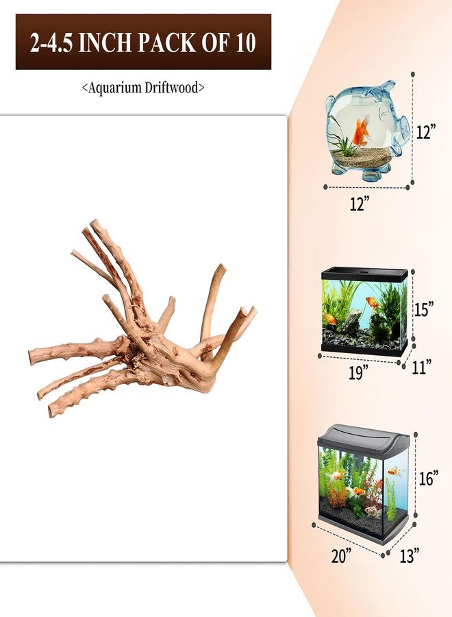 majoywoo Natural Small Driftwood for Aquarium Decor Fish Tank Decorations, Assorted Spider Wood Branch 2-4.5" 10 Pcs, Reptile Decor - Image 2