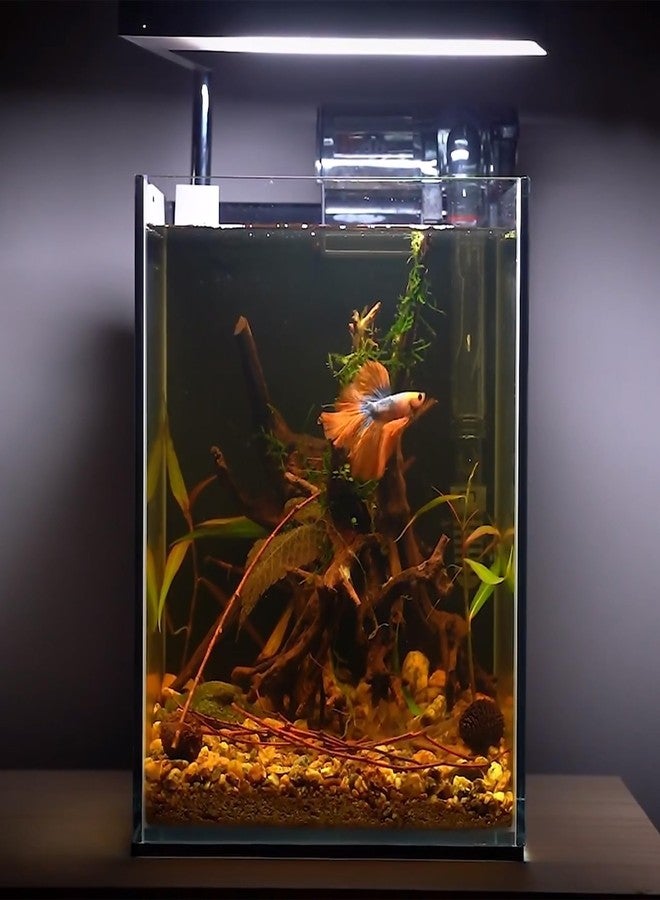 majoywoo Natural Small Driftwood for Aquarium Decor Fish Tank Decorations, Assorted Spider Wood Branch 2-4.5" 10 Pcs, Reptile Decor - Image 5