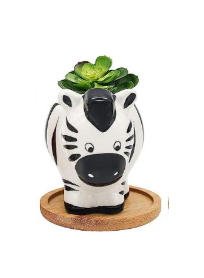 Cute Succulent Planter, Succulent Pots with Drainage Hole Flower Plant Pot Cartoon Ceramic Tiny Pot for Indoor Mini Flower Planters Cactus Container - Image 1