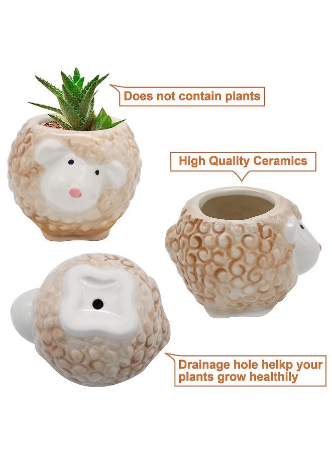 Cute Succulent Planter, Succulent Pots with Drainage Hole Flower Plant Pot Cartoon Ceramic Tiny Pot for Indoor Mini Flower Planters Cactus Container - Image 4