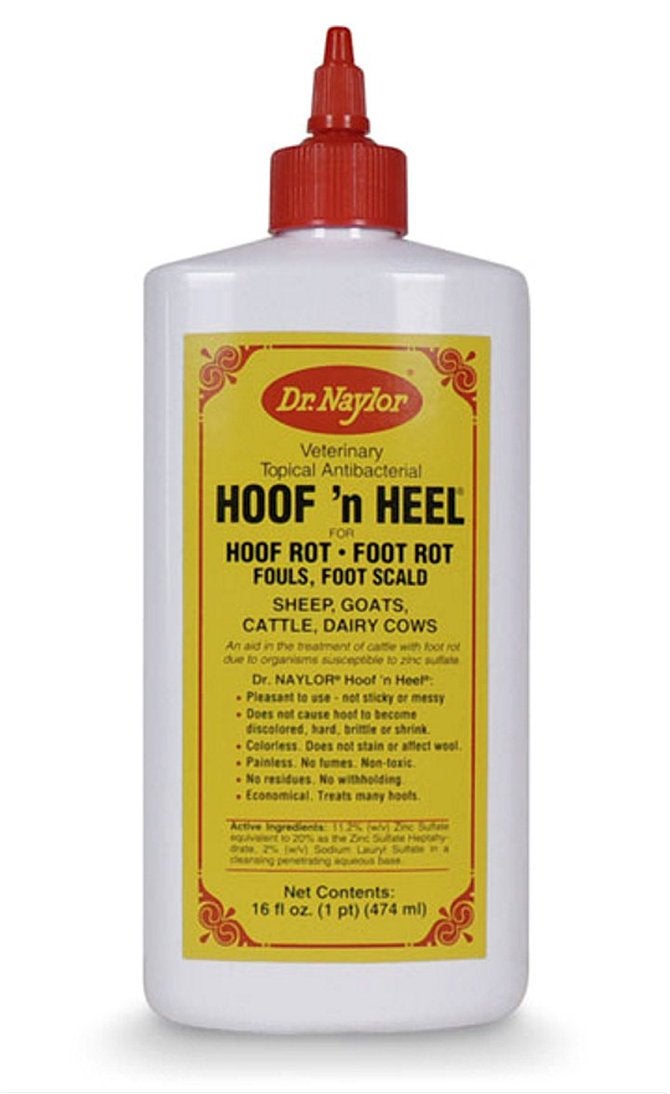 Dr. Naylor Hoof n' Heel (16 oz.) - Traditional Foot Rot Treatment - Image 4