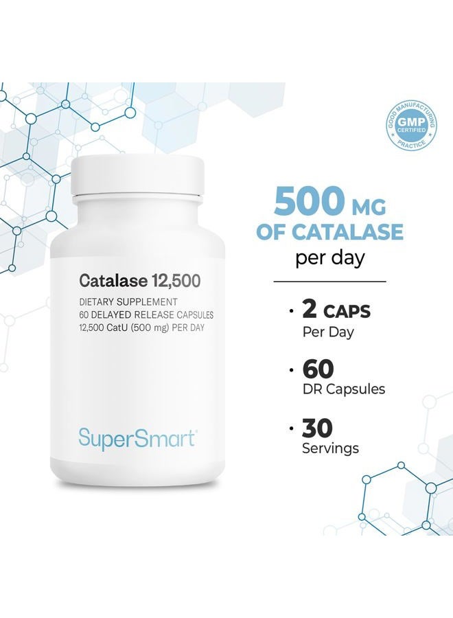 SuperSmart كاتالاز 500 ملغ لكل حصة - إنزيم طبيعي - مضاد للشيخوخة لتعزيز زيادة العمر - استعادة لون الشعر وحماية الحمض النووي | خالي من الكائنات المعدلة وراثيًا وخالي من الغلوتين - 60 كبسولة DR - Image 4
