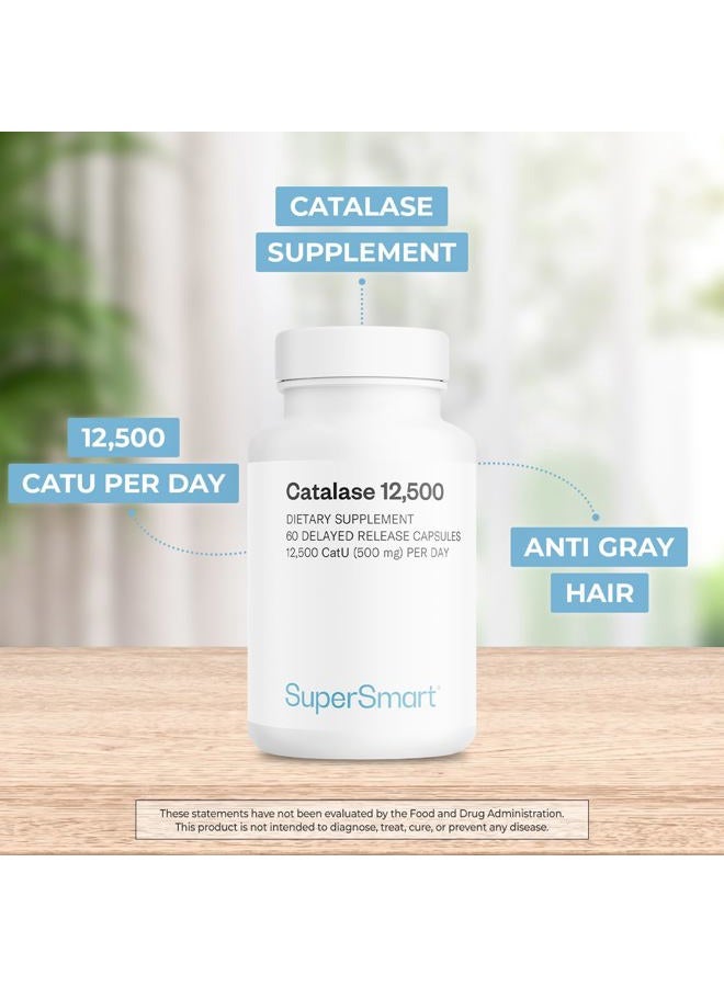 SuperSmart كاتالاز 500 ملغ لكل حصة - إنزيم طبيعي - مضاد للشيخوخة لتعزيز زيادة العمر - استعادة لون الشعر وحماية الحمض النووي | خالي من الكائنات المعدلة وراثيًا وخالي من الغلوتين - 60 كبسولة DR - Image 2