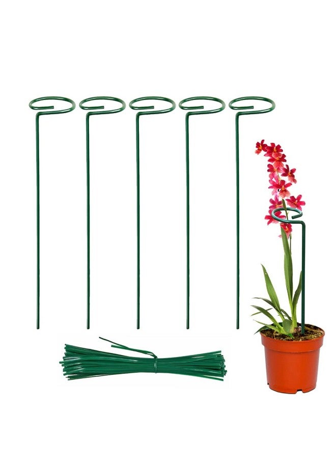 EXALT® 18 Inches Premium Plant Support Stakes, Sturdy Metal Construction for Strong and Healthy Plant Growth (Light Green - 5 pcs) - Image 1