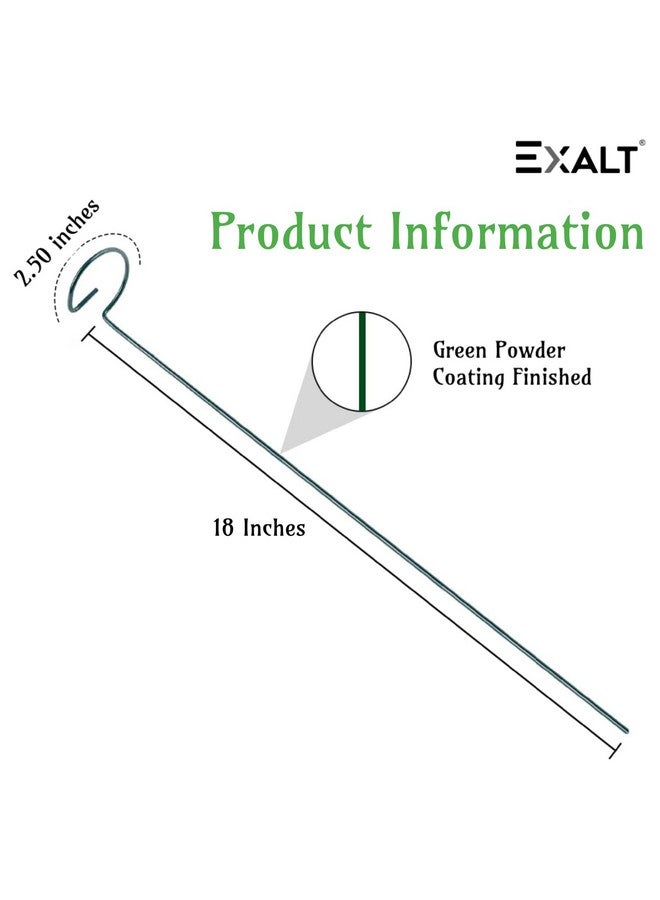 EXALT® 18 Inches Premium Plant Support Stakes, Sturdy Metal Construction for Strong and Healthy Plant Growth (Light Green - 5 pcs) - Image 2