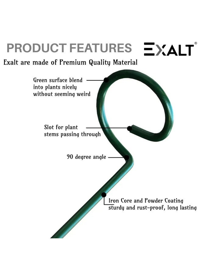 EXALT® 18 Inches Premium Plant Support Stakes, Sturdy Metal Construction for Strong and Healthy Plant Growth (Light Green - 5 pcs) - Image 3