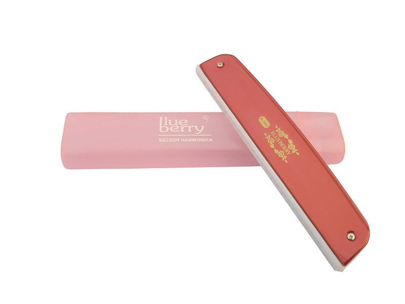 Blueberry H-2402 24 Holes 48 Tones Key C Mouth Organ With Case (Red) - Image 1