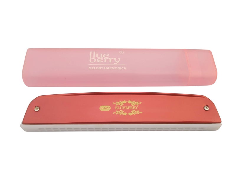 Blueberry H-2402 24 Holes 48 Tones Key C Mouth Organ With Case (Red) - Image 3