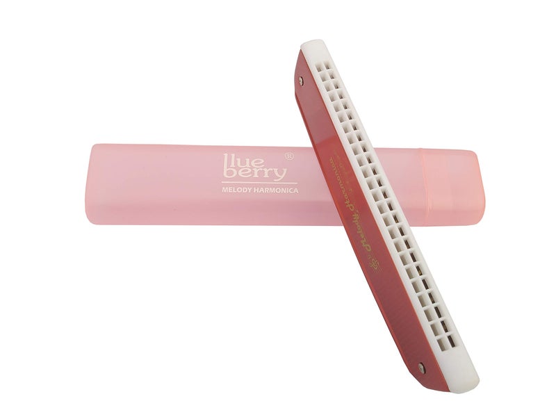 Blueberry H-2402 24 Holes 48 Tones Key C Mouth Organ With Case (Red) - Image 5