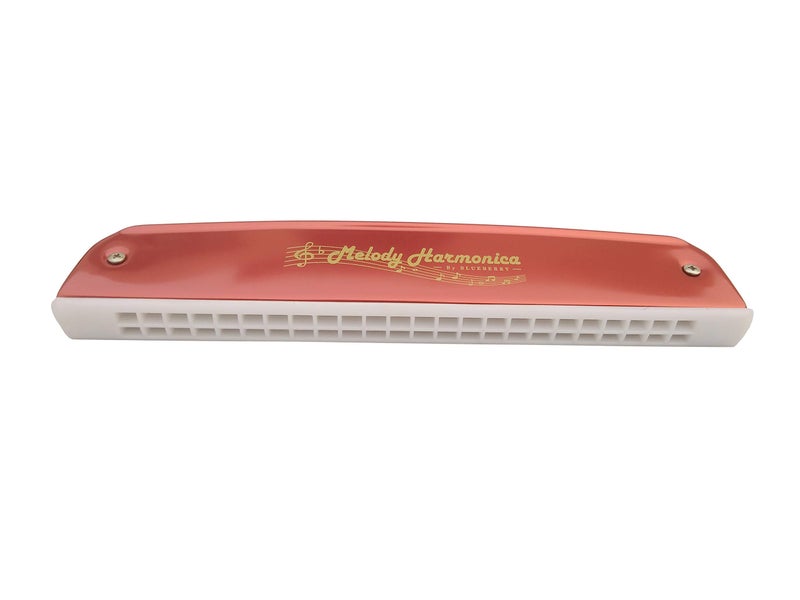 Blueberry H-2402 24 Holes 48 Tones Key C Mouth Organ With Case (Red) - Image 4