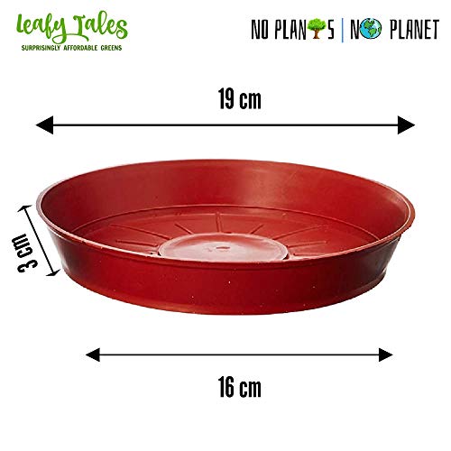Leafy Tales Plants Bottom Plate, Drip Tray for Plants, Gamla, Terracotta Color| (6-inch, Brown, Set of 10) - Image 3