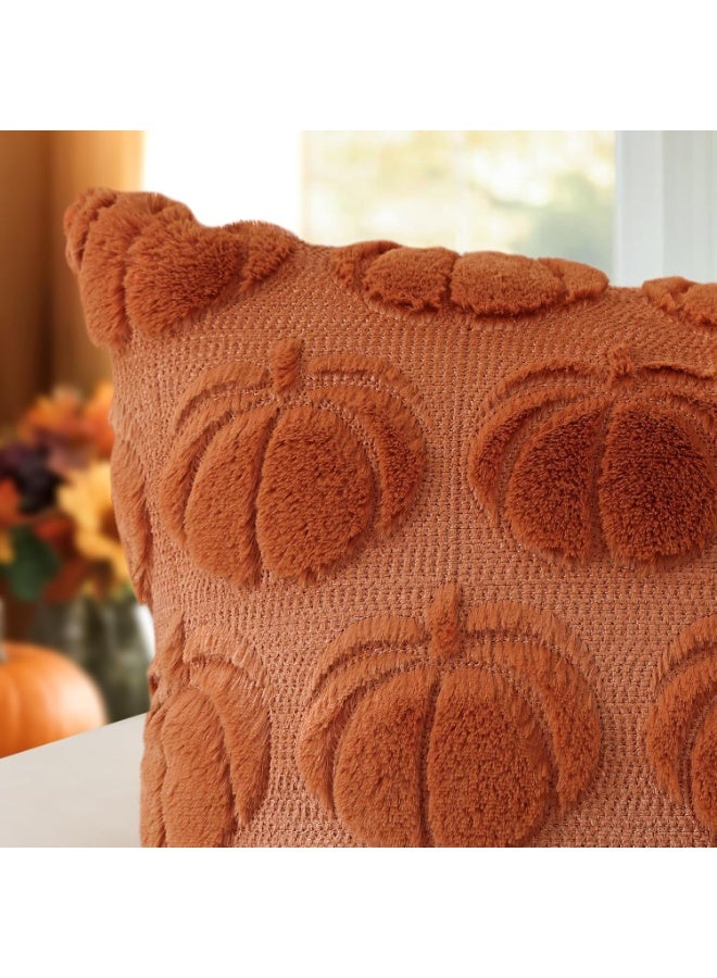 Beauenty Set of 2 Pumpkin Cushion Covers, Plush Short Wool Decorative Cushion Covers, Autumn Boho Cushion Covers, Sofa Cushion, Modern Cushion Cover, Autumn Decoration for Living Room, Garden (30 x 50 cm) - Image 5