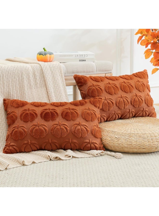 Beauenty Set of 2 Pumpkin Cushion Covers, Plush Short Wool Decorative Cushion Covers, Autumn Boho Cushion Covers, Sofa Cushion, Modern Cushion Cover, Autumn Decoration for Living Room, Garden (30 x 50 cm) - Image 3