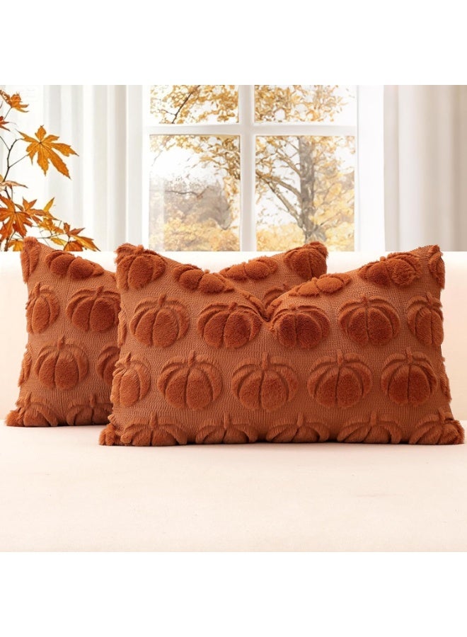 Beauenty Set of 2 Pumpkin Cushion Covers, Plush Short Wool Decorative Cushion Covers, Autumn Boho Cushion Covers, Sofa Cushion, Modern Cushion Cover, Autumn Decoration for Living Room, Garden (30 x 50 cm) - Image 4