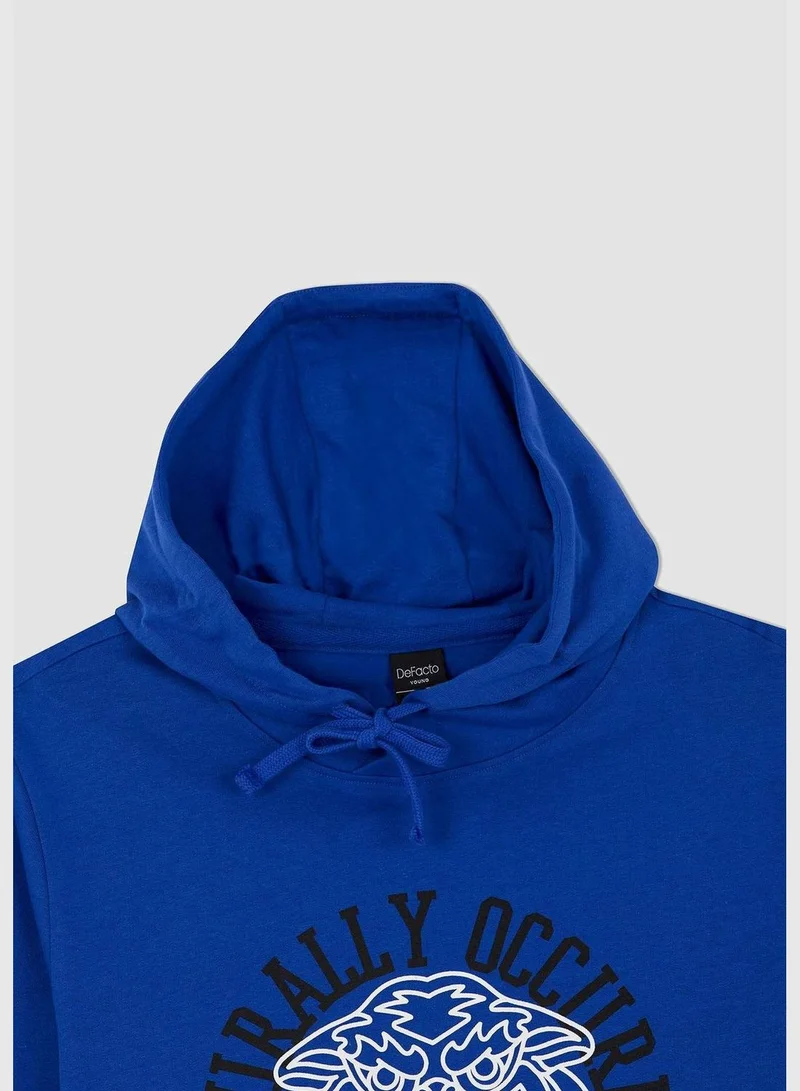 DeFacto Man Slim Fit Crew Neck Long Sleeve Knitted Sweatshirt
