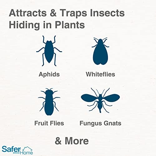Safer Brand Home SH5026 Houseplant Sticky Stake Insect Traps for Indoor Plants - 16 Traps Included - Controls Aphids, Whiteflies, Fruit Flies, Fungus Gnats, and Other Insects - Image 2