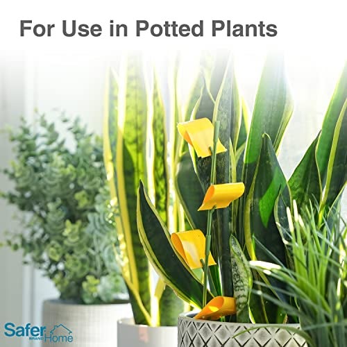 Safer Brand Home SH5026 Houseplant Sticky Stake Insect Traps for Indoor Plants - 16 Traps Included - Controls Aphids, Whiteflies, Fruit Flies, Fungus Gnats, and Other Insects - Image 3