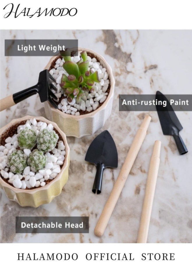 HALAMODO - 3PCS Hand Shovel for Gardening Trowel Garden Tool Planting Tools Small Garden Rake Ergonomic Hand Tools Set Edging Shovel Indoor Plants Tools Gardening Tools for Transplanting Seedlings & Cultivating and Weeding Flowers and Vegetable Seedlings - Image 1