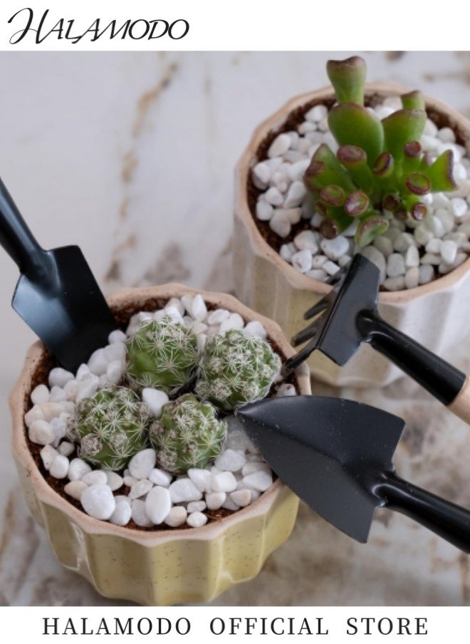 HALAMODO - 3PCS Hand Shovel for Gardening Trowel Garden Tool Planting Tools Small Garden Rake Ergonomic Hand Tools Set Edging Shovel Indoor Plants Tools Gardening Tools for Transplanting Seedlings & Cultivating and Weeding Flowers and Vegetable Seedlings - Image 1